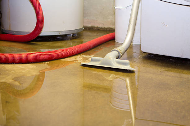 Best Water damage cleanup near me  in Veazie, ME