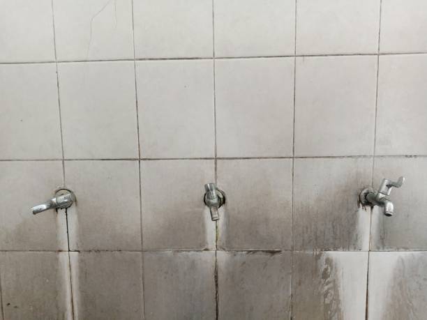 Best Local water damage restoration  in Veazie, ME