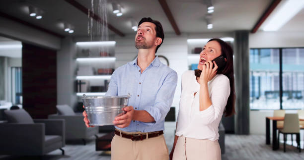 Best 24/7 water damage repair  in Veazie, ME